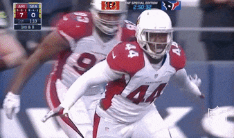 Jumping In Arizona Cardinals GIF by NFL