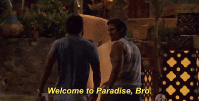 Season 3 Episode 6 GIF by Bachelor in Paradise