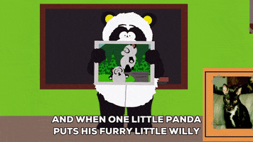 explaining sexual harassment panda GIF by South Park 