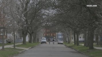 200.gif?cid=fc005b08e7f33285edad99d3080bf44d6adf6cc52e315616&rid=200.gif&ct=g