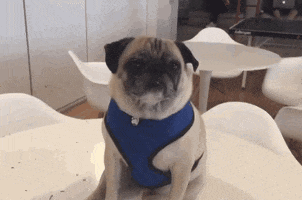 200_s.gif