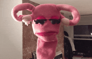 Excited Puppet GIF by Abortion Access Front