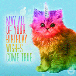 Text gif. A rainbow filter slowly moves over a kitten and the text, "May all of your birthday wishes come true." Sparkles descend from a spiral unicorn horn on the kitten's head.