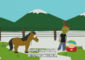 eric cartman pony GIF by South Park 