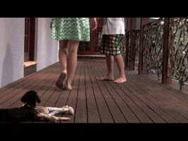 puppy protecting GIF by JustViral.Net