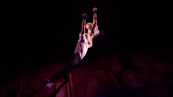 soar GIF by Paramour on Broadway