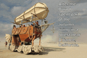 emilytepper small version GIF