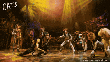rum tum tugger love GIF by Cats the Musical