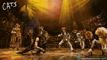 rum tum tugger love GIF by Cats the Musical