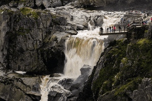 iursemog3dgmailcom  GIF