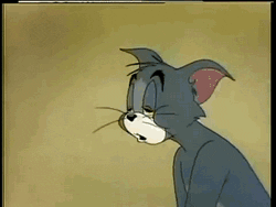 jmcdermott cat tired sleepy exhausted GIF