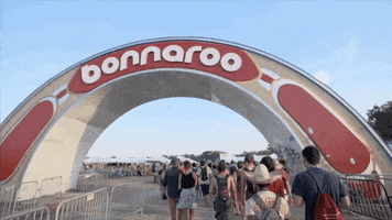 the arch art GIF by Bonnaroo Music and Arts Festival