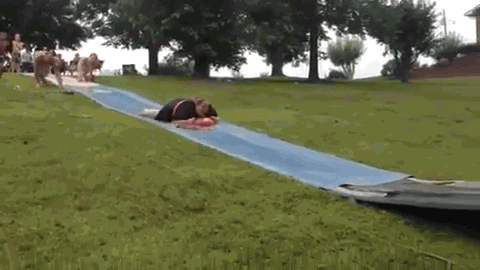 So Close Slide GIF by AFV Epic Fails - Find & Share on GIPHY