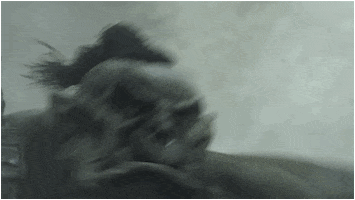 norton  GIF
