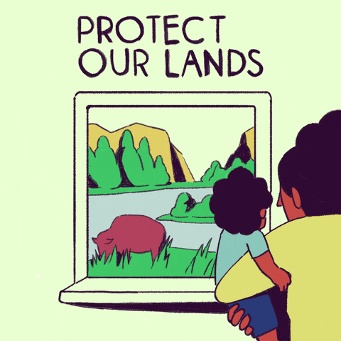 Stay Home National Parks GIF by INTO ACTION