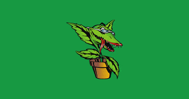 Venus Fly Trap Plant GIF by Future Harvest