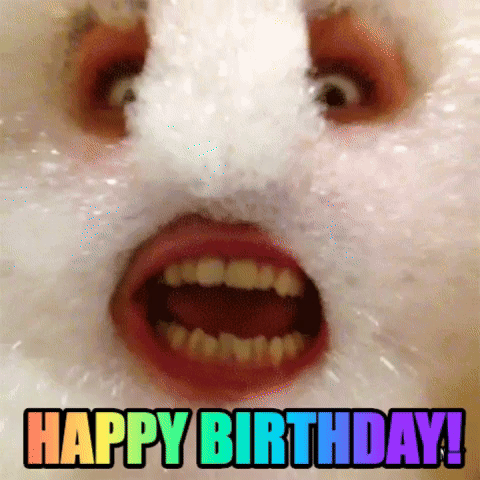 Happy Birthday Bday GIF by MOODMAN - Find & Share on GIPHY Happy Birthday Bday GIF by MOODMAN - Find & Share on GIPHY