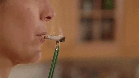 Weed, Toke Buddy, Cannabis, Marijuana, Funny GIF by WeedFeed - Find & Share on GIPHY