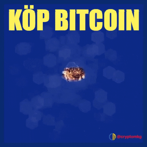 Bitcoin GIF by Crypto Marketing