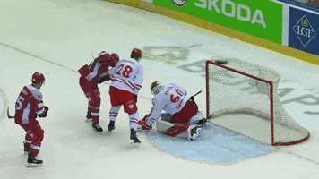 Goalie Save GIF by Champions Hockey League