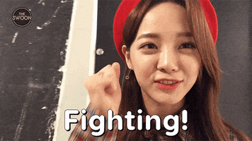 Netflix Fighting GIF by The Swoon