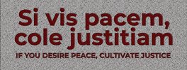 Ilo100 GIF by ILO Office for the UN