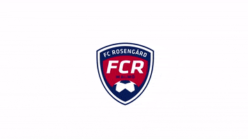 Football Soccer GIF by FC Rosengard