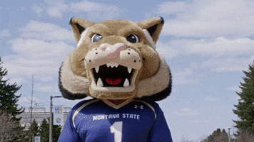 Oh Yeah Yes GIF by Montana State University