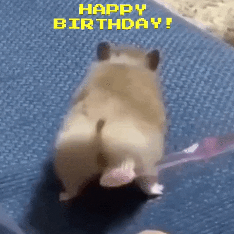 Happy Birthday Hamster Gif By Moodman Find Share On Giphy