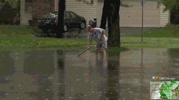Naperville GIF
