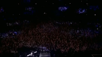 Live Music Audience GIF by Amy Lee