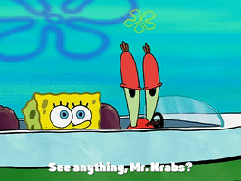 season 3 krabby land GIF by SpongeBob SquarePants