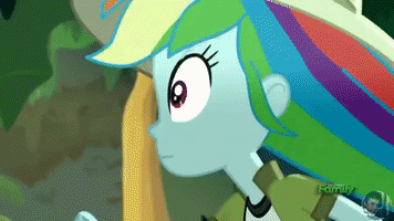 Rainbow Dash Screeching Stop GIF