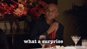 tv land surprise GIF by nobodies.