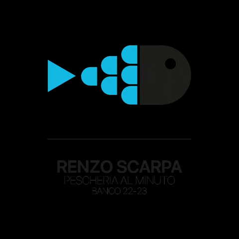 scarpastefano GIF