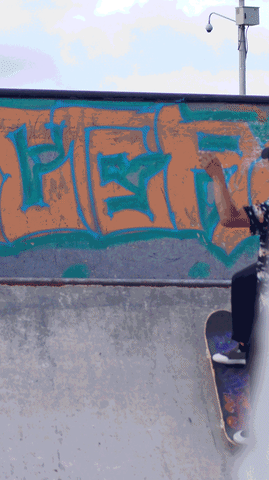 neal skate skateboarding moments bogota GIF