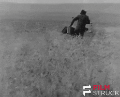 filmstruck running kissing silent film filmstruck GIF