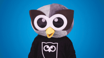 you win first place GIF by Hootsuite