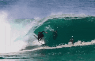Surf Dolphin GIF by Sport Decouverte