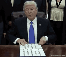 yuliabogachenko  GIF