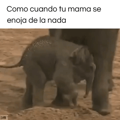 daniehg  GIF