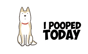 ruffleschip funny meme dog poop GIF