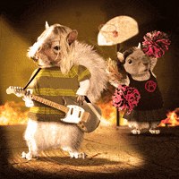 rock and roll lol GIF by Chris Timmons