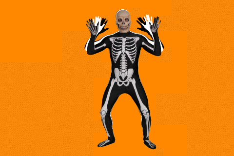 6ixy skeleton