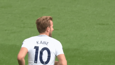 Tottenham Hotspur Gif Find Share On Giphy