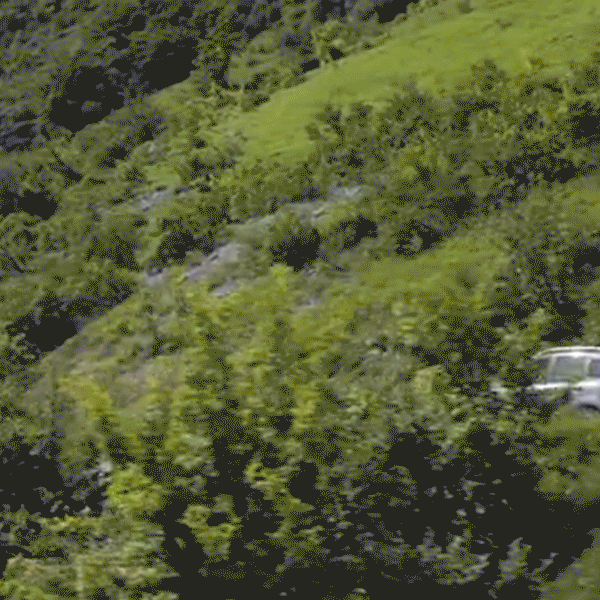 Fiat  GIF