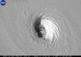 hurricane irma GIF by NASA
