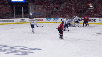 Celebration Goal GIF by Capitals