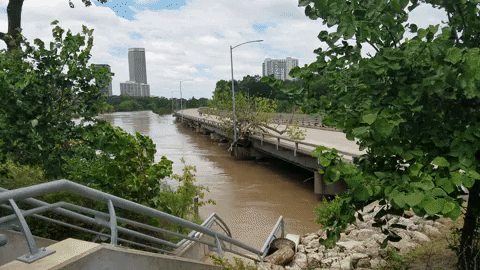 MFD GIF - Find & Share on GIPHY
