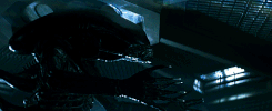 digital-culture  GIF